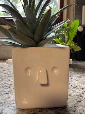 30 Watt Robot Flower Pot - 1lb, 7.5oz